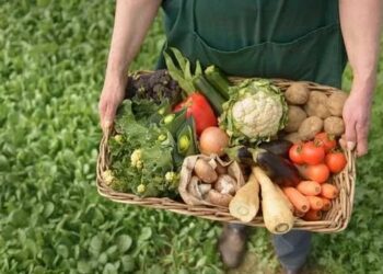 Πάει για την άλλη εβδομάδα η πληρωμή στα παλιά βιολογικά από τον ΟΠΕΚΕΠΕ – Σε αναμονή οι παραγωγοί