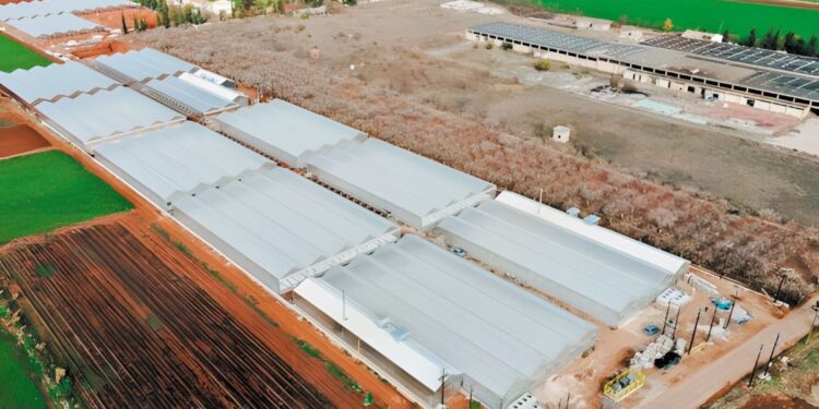 THERMI VC: Πρωτοπορεί στην αγροτεχνολογία με 30 εκατ. ευρώ σε υδροπονία και καινοτόμες καλλιέργειες