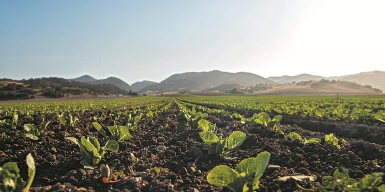 Εκτός διατήρησης βιολογικών Eco Schemes 40.000 παραγωγοί, με νέα απόφαση του ΥΠΑΑΤ