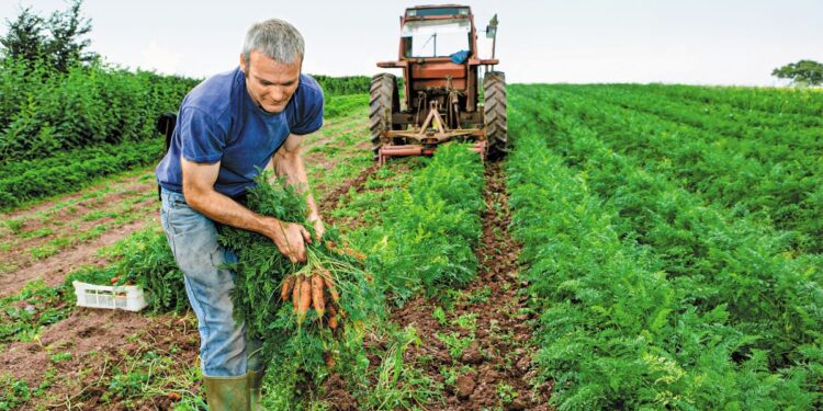 ΟΠΕΚΕΠΕ: Έως 12 Σεπτεμβρίου οι αιτήσεις για Μεταβιβάσεις Δικαιωμάτων Ενίσχυσης 2025