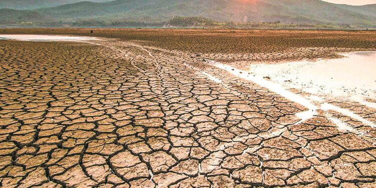 Κλιματική κρίση, ανύπαρκτες υποδομές άρδευσης και απουσία πολιτικής «θρέφουν» την ξηρασία και τις πυρκαγιές