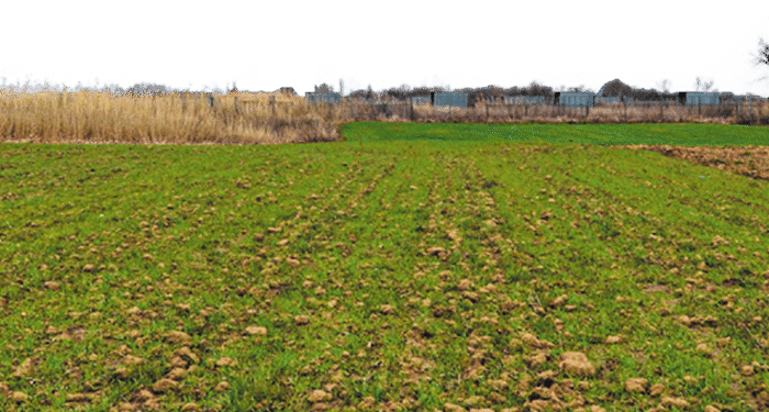 Ο ΑΤΑΚ φέρνει μείωση σε αποζημιώσεις και καλλιεργήσιμη γη στην ΑΜΘ