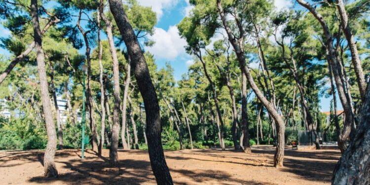 Δήμος Αθηναίων: Κλείνει μέχρι νεωτέρας το Άλσος Χωροφυλακής για το παράνομο νεκροταφείο ζώων – Η ανάρτηση του Χάρη Δούκα