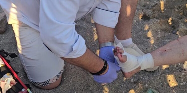 Θαλάσσια χελώνα έκοψε δάχτυλο γυναίκας που έκανε μπάνιο στην Ανάβυσσο – Επιτέθηκε και σε άλλους δύο