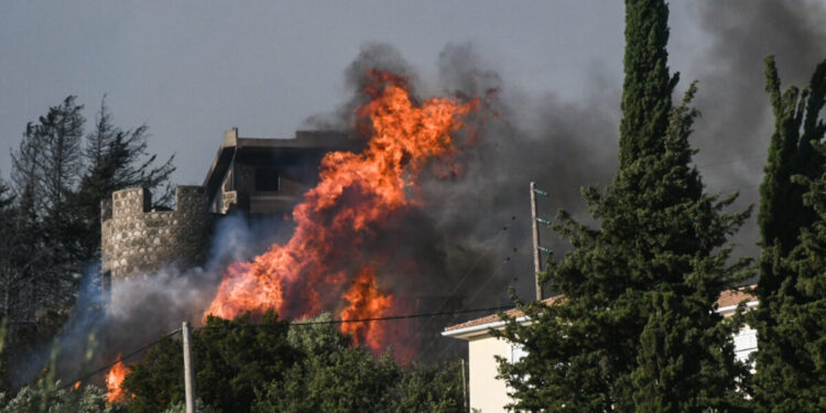 Φωτιά στην Πάτρα: «Επιτακτική η ανάγκη να σχεδιαστεί το μέλλον της κλιματικής προσαρμογής της πόλης»