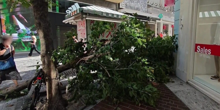 Έπεσε δέντρο στην Ερμού: Σφοδροί άνεμοι σφυροκοπούν την Αθήνα