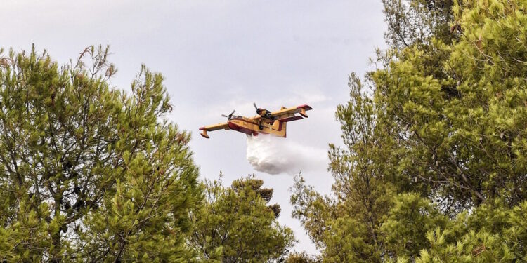 Φωτιά στην Αργολίδα: Σηκώθηκαν 5 εναέρια μέσα