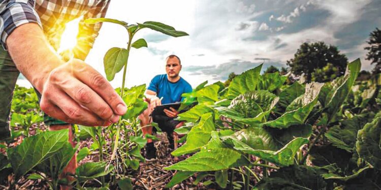 Ανθεκτική γεωργία στην Ευρώπη: Από την οικονομική ευαλωτότητα στην ψηφιακή διαχείριση κινδύνων και τη συμβουλευτική