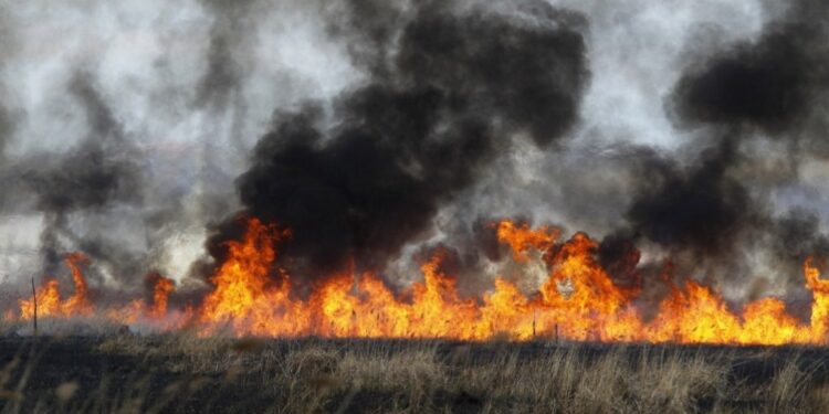Ομοσπονδία Αγροτικών Συλλόγων Πρέβεζας: Άμεση καταγραφή των ζημιών και αποζημίωση στο 100% των απωλειών
