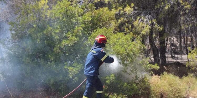 Φωτιά στη Θεσπρωτία στην περιοχή Μαλούνι: Επιχειρούν εναέρια μέσα – Ήχησε το 112 για «ετοιμότητα»