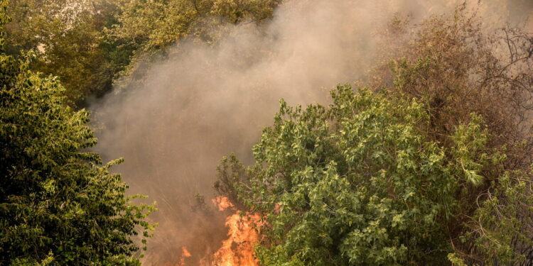 Υψηλός ο κίνδυνος για φωτιά την Κυριακή σε Αττική και Εύβοια – Ποιες άλλες περιοχές κινδυνεύουν