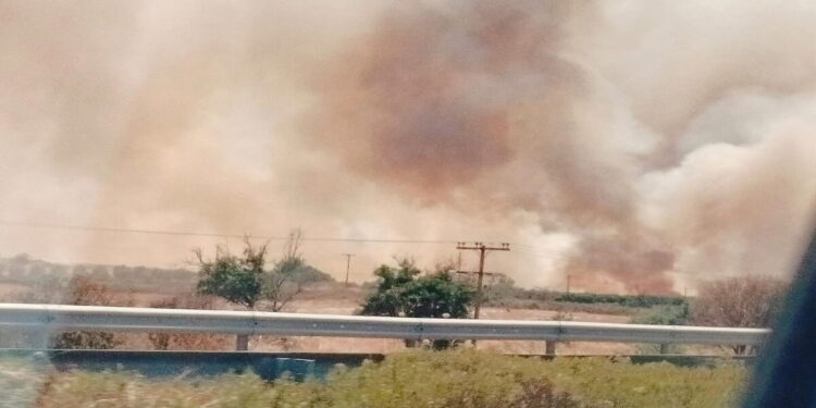 Αγρίνιο: Φωτιά στην Ιόνια Οδό κοντά στην Γουριώτισσα – Διακοπή της κυκλοφορίας