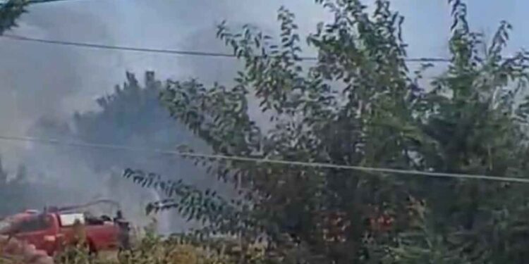 Αγρίνιο: Φωτιά κοντά σε σπίτια στα Αη Βασιλιώτικα – Μεγάλη κινητοποίηση της Πυροσβεστικής (video)