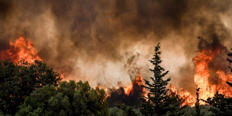 Φωτιά στη Λέσβο, η τρίτη μέσα σε λίγες ώρες στο νησί – Άμεση κινητοποίηση της πυροσβεστικής