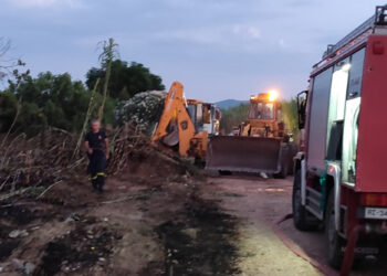 Αγρίνιο: Κατασβέστηκε άμεσα πυρκαγιά που εκδηλώθηκε σε περιοχή της Τοπικής Κοινότητας Δοκιμίου (φωτο)