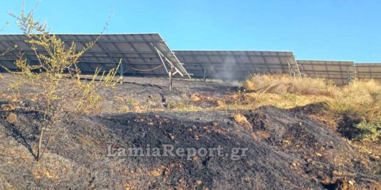 Φωτιά σε δασική έκταση στον Άγιο Στέφανο Δομοκού – Καίει δίπλα σε φωτοβολταϊκό πάρκο
