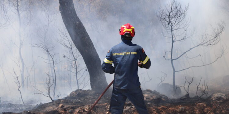Φωτιά στην Κερατέα: Ισχυρές δυνάμεις και κλειστοί δρόμοι