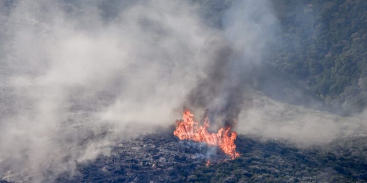 Φωτιά στο Λεοντάρι Αρκαδίας σε δύσβατη περιοχή: Ισχυρές δυνάμεις στο σημείο