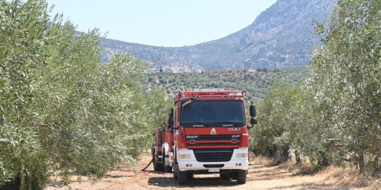 Φωτιά στην Οινόη ξέσπασε τα ξημερώματα: Τέθηκε γρήγορα υπό έλεγχο