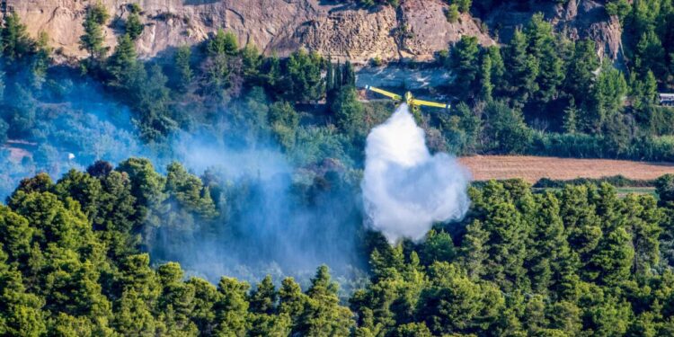 Φωτιά στα Δερβενοχώρια Βοιωτίας: Σηκώθηκαν 4 εναέρια μέσα