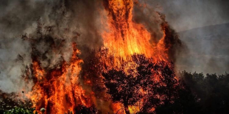 Φωτιά στον Άγιο Νικόλαο Κρήτης: Μήνυμα του 112 για ετοιμότητα
