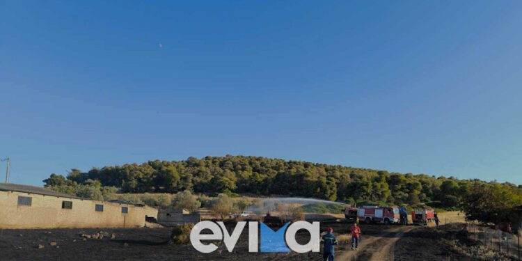 Φωτιά στην Εύβοια: Τραυματίστηκε εθελοντής πυροσβέστης – Μεταφέρεται στο νοσοκομείο Χαλκίδας