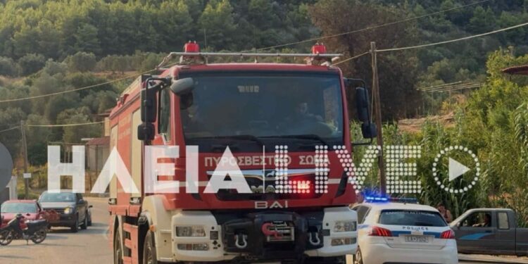 Αρχαία Ολυμπία: Συνελήφθη άνδρας που άρπαξε πυροσβεστικό όχημα για να σβήσει τη φωτιά