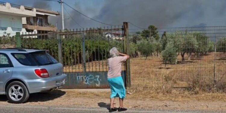 Φωτιά στην Κερατέα: Σπαρακτικές εικόνες στα μέτωπα -«Πάει το δασάκι μου, τελευταία φορά που σε βλέπω»