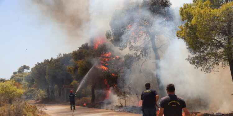 Φωτιά στη Νεάπολη Αγρινίου: Μεγάλη κινητοποίηση της πυροσβεστικής