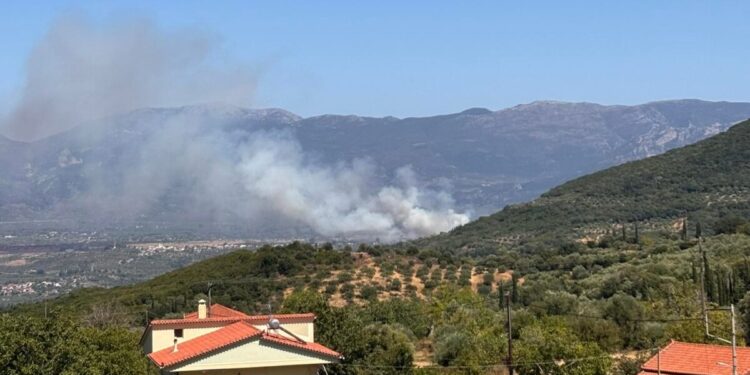 Φωτιά στον Μελιγαλά: Σηκώθηκαν εναέρια – Ήχησε το 112 για απομάκρυνση