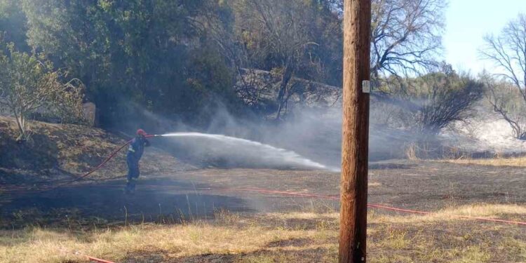 Αγρίνιο: Υπό έλεγχο τέθηκε η φωτιά στην Ποταμούλα – Δεν απειλήθηκαν κατοικημένες περιοχές (φωτο)