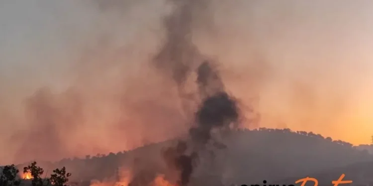 Πρέβεζα: Δεύτερη νύχτα αγωνίας στις φλόγες από τη μεγάλη φωτιά