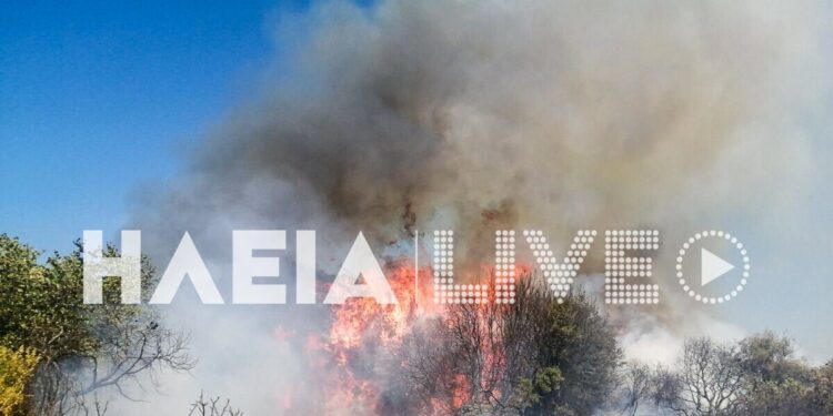 Φωτιά στην Ηλεία: Καίει σε αγροτοδασική έκταση – Σηκώθηκαν και εναέρια μέσα