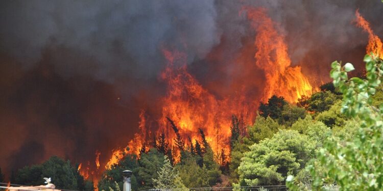 Φωτιά στη Ζάκυνθο στην περιοχή Κοιλιωμένος: Σηκώθηκαν εναέρια μέσα για να την σβήσουν