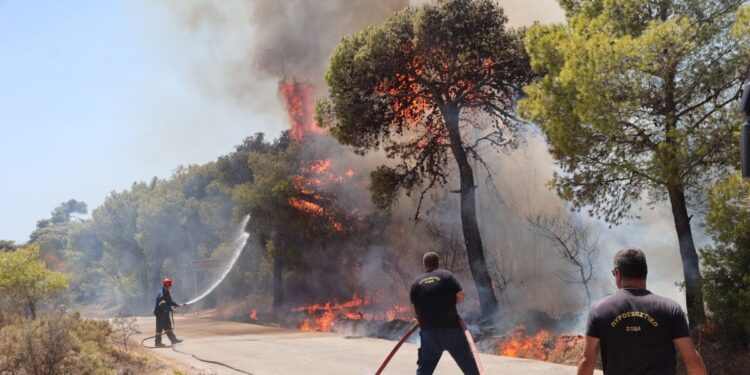 Φωτιά στη Φωκίδα: Οι φλόγες καίνε δάσος στον Δαφνό – Πάνω από 30 πυροσβέστες επιχειρούν στο μέτωπο