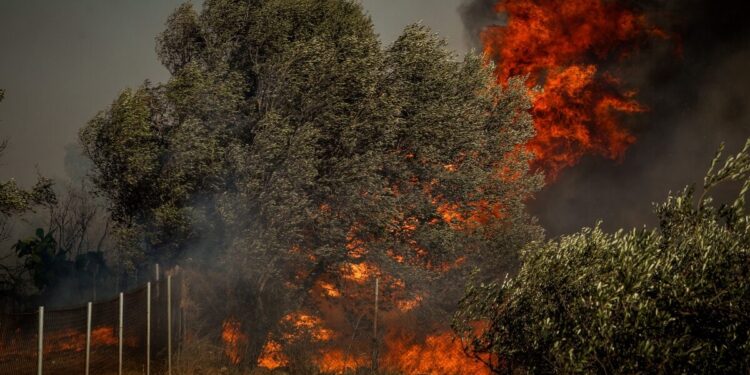 Πολύ υψηλός κίνδυνος για φωτιά σε Αττική, Πελοπόννησο, Στερεά Ελλάδα και άλλες 4 περιφέρειες