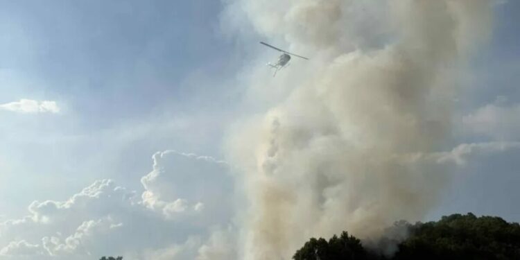 Φωτιά στην Καλαμπάκα στην περιοχή Αγναντιά: Εναέρια μέσα και πυροσβέστες παλεύουν με τις φλόγες
