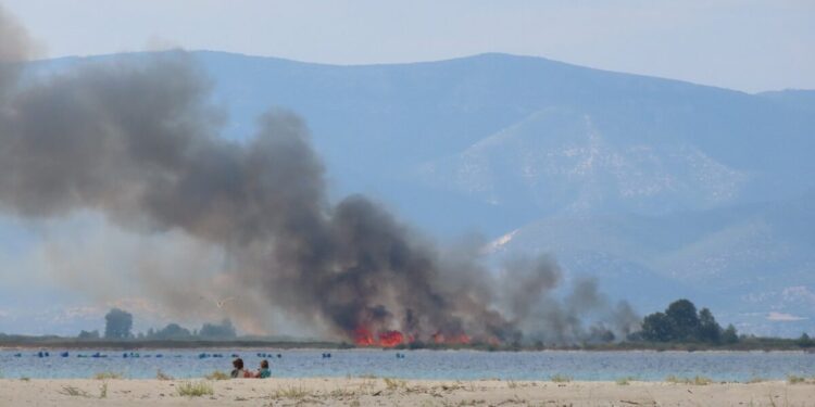 Φωτιά στον Δήμο Νέστου κοντά στην Κεραμωτή – Πνέουν ισχυροί άνεμοι