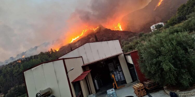 Φωτιά στην Πάτρα: Έκκληση για βοήθεια από γνωστή ποτοποιία – Οι φλόγες πλησιάζουν την εταιρεία που έχει τόνους με αλκοόλη