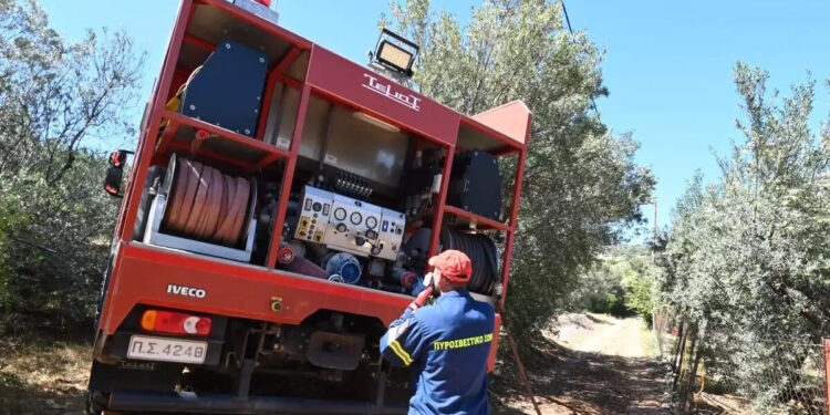 Δύο νεαροί στη Φθιώτιδα κρατούνται για απόπειρα εμπρησμού – Τους είδαν να ρίχνουν πετρέλαιο σε θάμνους
