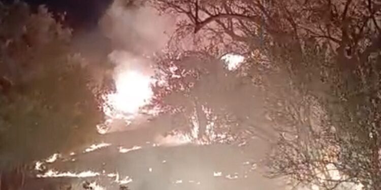 Φωτιά στη Σαλαμίνα: «Κάποιοι είχαν γλέντι και έριξαν πυροτεχνήματα» – Οι φλόγες έφτασαν κοντά στα σπίτια