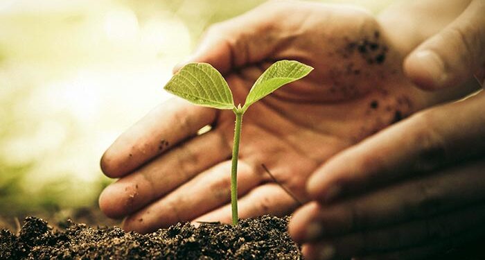 Παρεμβάσεις του Συλλόγου Γεωπόνων για τη νέα ΚΥΑ: Ρόλος των Δήμων, ψηφιακή καταγραφή, κίνητρα στους αγρότες