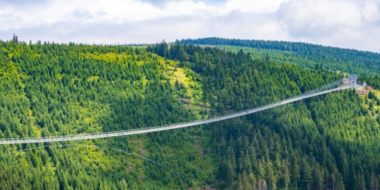 Στα σκαριά μόνιμο ταμείο για τον καθαρισμό και προστασία των δασών – Τα σενάρια για την επόμενη μέρα του Ταμείου Ανάκαμψης