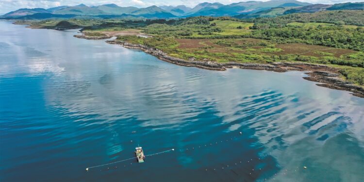 Inspire Restorative Aquaculture Course – Νέες δεξιότητες και καινοτομία στην υδατοκαλλιέργεια