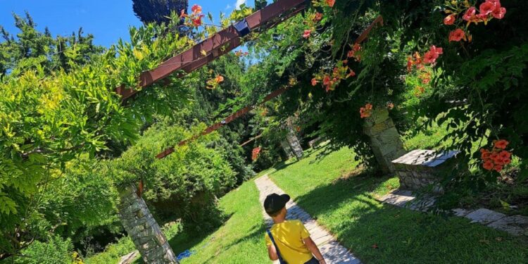 Ο βοτανικός κήπος Διομήδους μοιάζει με επίγειο παράδεισο στην πόλη και απέχει μόλις 10 χιλιόμετρα από το κέντρο της Αθήνας