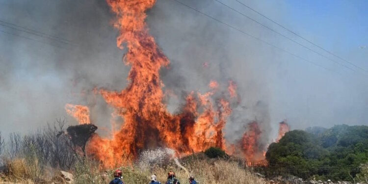 Τα πέντε μέτρα στήριξης για τους πυρόπληκτους Ιουνίου, Ιουλίου, Αυγούστου 2025