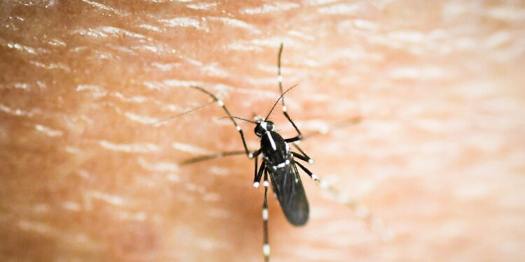ΕΟΔΥ: Αυξάνονται τα νέα κρούσματα του ιού του Δυτικού Νείλου σε 9 την τελευταία εβδομάδα – Σε ποιες περιοχές εντοπίζονται