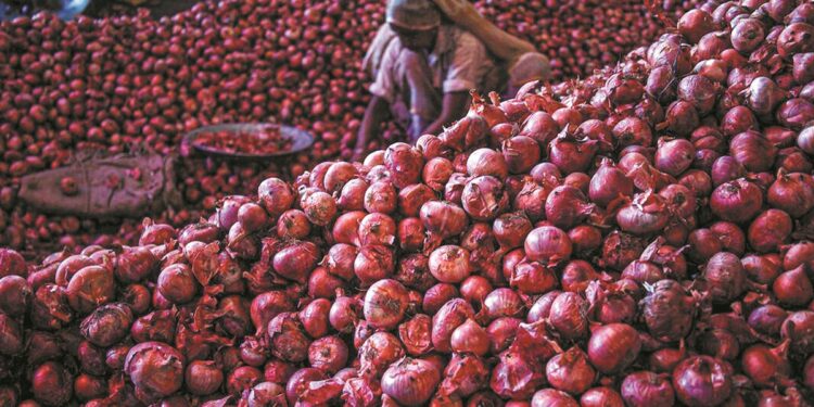 Η παγκόσμια αγορά μπαίνει σε φάση ισορροπίας μετά από χρόνια αναταράξεων
