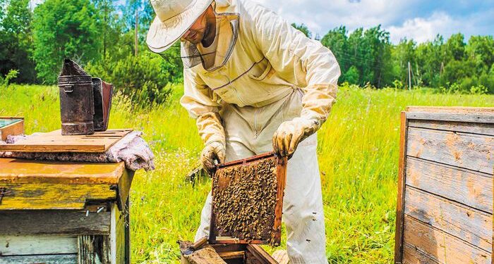 Κοινότητα Βιολογικής Μελισσοκομίας: «Δεν θα δεχτούμε να γίνουμε αποδιοπομπαίοι τράγοι»»