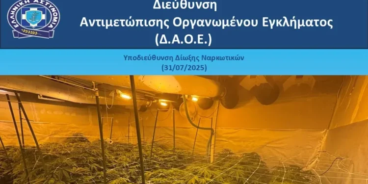 Έφτιαξαν φυτώριο κάνναβης μέσα σε μονοκατοικία της Ανατολικής Αττικής – Είχαν παραγωγή όλο το χρόνο